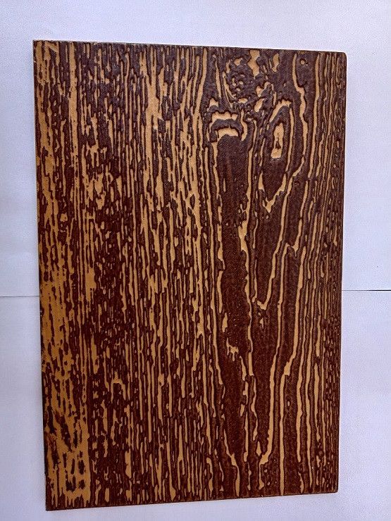 Фиброцементный сайдинг Latonit Клен (RAL 1011/8017) - цвет: Клен. купить в Омске