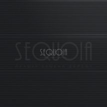 Доска террасная ДПК 3D SEQUOIA Evolution WOOD BLACK